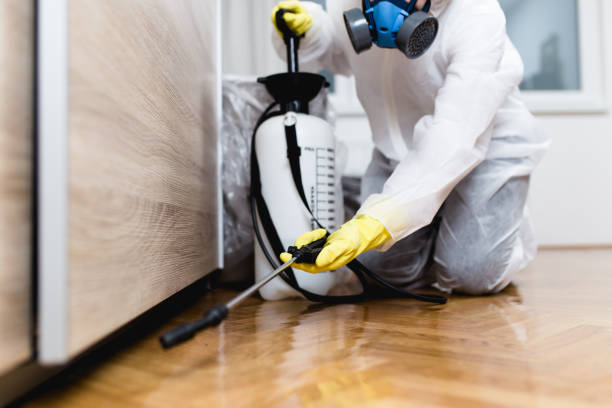 Best Ant Control Services  in Roebling, NJ
