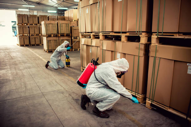 Best Cockroach Control Services  in Roebling, NJ