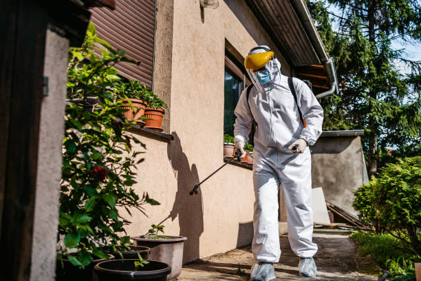 Best Cockroach Control Services  in Roebling, NJ