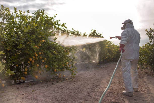 Best Mosquito Control Services  in Roebling, NJ