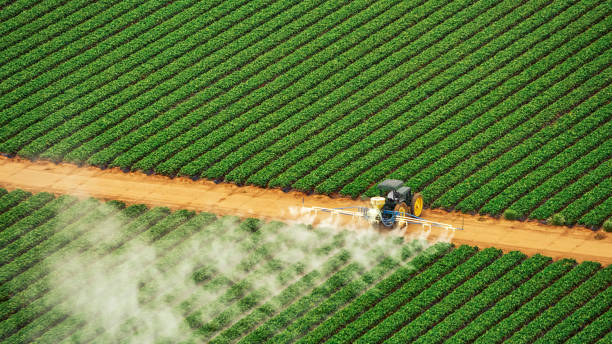 Best Commercial Pest Control Services  in Roebling, NJ