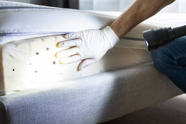 Best Affordable Pest Control Services  in Roebling, NJ