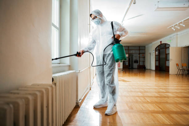 Best Pest Control Near Me  in Roebling, NJ