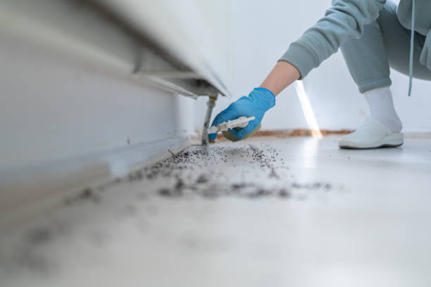 Pest Control for Restaurants in Roebling, NJ